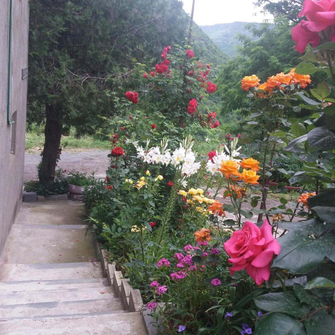 Iris B&B In Debed Canyon Alaverdi Eksteriør bilde